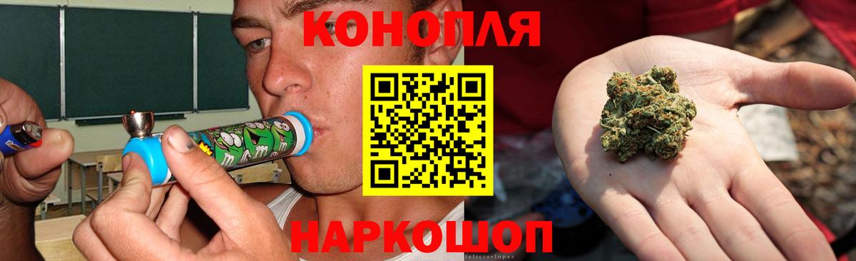Бошки Шишки ГИДРОПОН Балахна